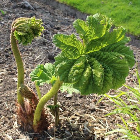 Le Domaine Ooievaar à Bellegem