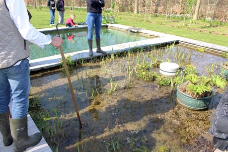 Le Domaine Ooievaar à Bellegem