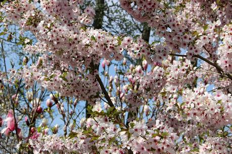 Le Domaine Ooievaar à Bellegem