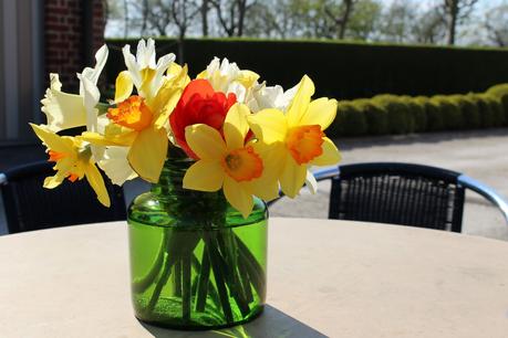 Le Domaine Ooievaar à Bellegem