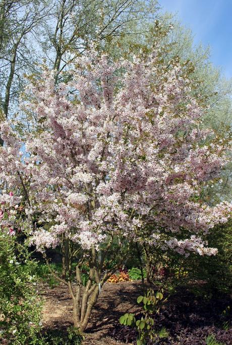 Le Domaine Ooievaar à Bellegem