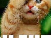 ALUR bilan désastreux détricotage discret