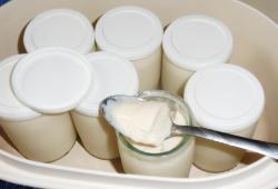 ♥ ♥ lundi 6 janvier : régime du doc dukan...  Page 2