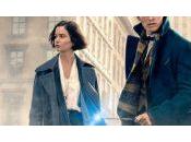 Animaux fantastiques autres films préparation l’univers d’Harry Potter