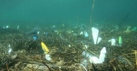 La pollution plastique est bien présente dans les fonds marins