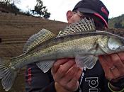 Villerest mieux mais encore