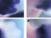 ÉVOLUTION: explication pentadactylie chez l'Homme Nature