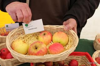 Fête de la Pomme