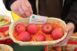 Fête de la Pomme