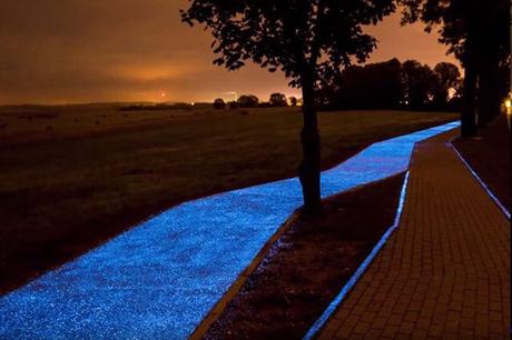 Pologne : cette piste cyclable va s’illuminer la nuit grâce à la lumière accumulée le jour !