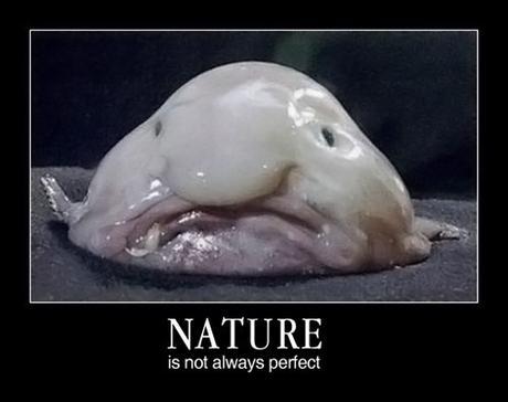 nature is not always perfect