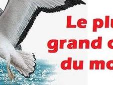 L’oiseau plus grand monde