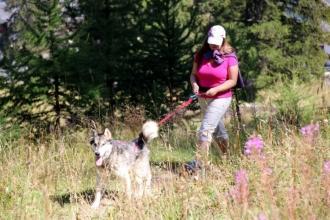 été dans le Val d'Hérens : Cani-Rando été dans le Val d'Hérens : Cani-Rando