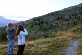 été dans le Val d'Hérens : Observation faune sauvage été dans le Val d'Hérens : Observation faune sauvage