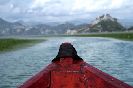 BLOG-MODE-HOMME-VOYAGE-Lifestyle-montenegro-skadar-lake-lac-golden-frog-cruise-croisiere-chataigne-d-eau-nationl-park-icredible-landcape-nature