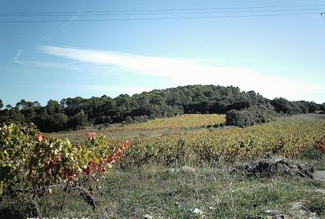 promenade,photos,loisirs,sud,saisons,automne