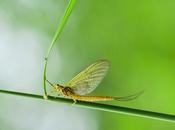 sélection photos pour Paris