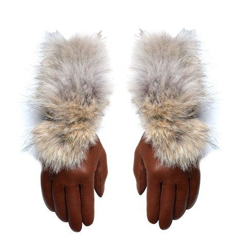 10849836_973632592651646_8563991516194220070_n