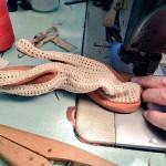 MODE :  Maison Fabre gantier depuis 1924 (Paris)