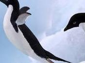 Est-ce vraiment Penguin arrivé