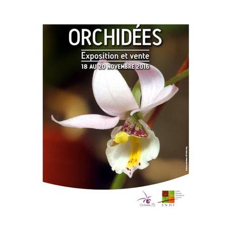 SNHF (Société Nationale d’Horticulture de France) : Découvrez du 18 au 20 novembre 2016 la grande exposition d’orchidées au Parc Floral de Paris organisée par l’association Orchidée 75 et la section orchidées de la SNHF