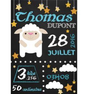 affiche-naissance-mouton