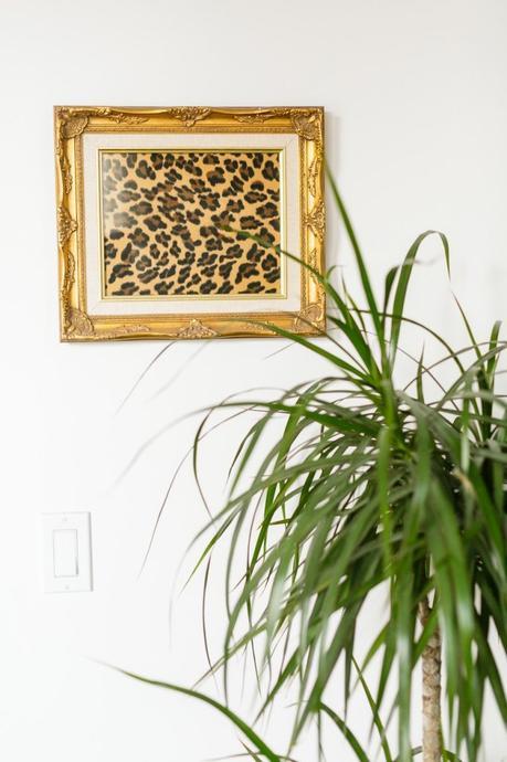 Urban jungle colorée appartement fluo multicolore