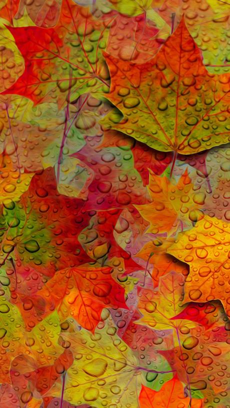 Wallpaper: L'automne s'affiche sur vos iPhone