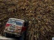 Trop c'est trop! pas...