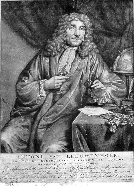 Google rend hommage à Antoni Van Leeuwenhoek, le maître de l’infiniment petit