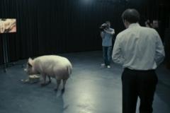 BLACKMIRROR-5stepslist-pig.jpg