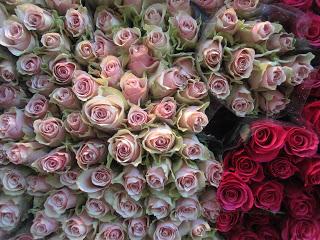 Des fleurs et puis des murs