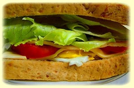 Je reprend mon sport, et hésite a faire le régime Dukan  aurorebrou  blog