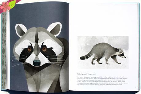 Animaux sauvages, voyage en terres du nord de Dieter Braun - éditions Milan