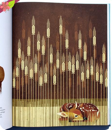 Animaux sauvages, voyage en terres du nord de Dieter Braun - éditions Milan