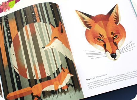 Animaux sauvages, voyage en terres du nord de Dieter Braun - éditions Milan