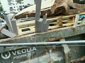 Jeter l’argent fenêtres quand gaspillages système Stupidalgo crèvent yeux