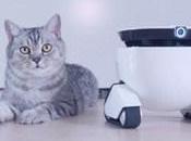 Roboming Fellow robot capable vous suivre trace