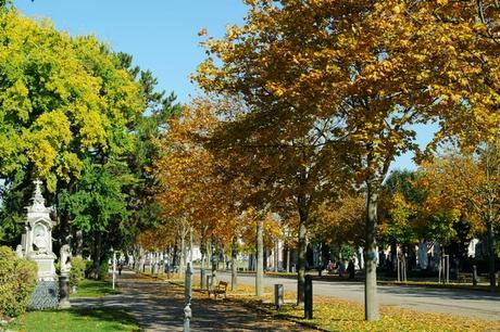 vienne cimetière central zentralfriedhof