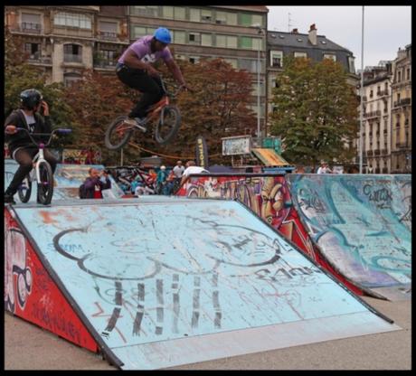 arbres,marronnier,plainpalais,arbres de plainpalais