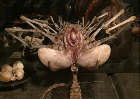 Alien : Covenant se dévoile à travers de nouvelles images