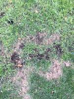 Travailler Pour La Ville( et suggérer ombre de travail)