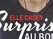 avis Surprise bout d'Elle Casey