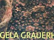 Centre Culturel Canadien EXPOSITION Angela GRAUERHOLZ écrins écrans partir Novembre 2016