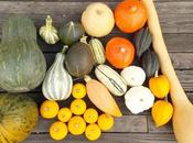 récolte courges 2016