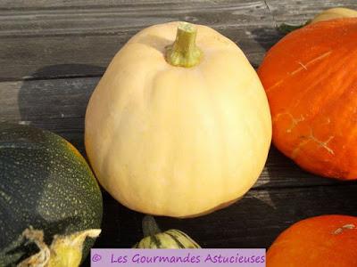 Ma récolte de courges 2016