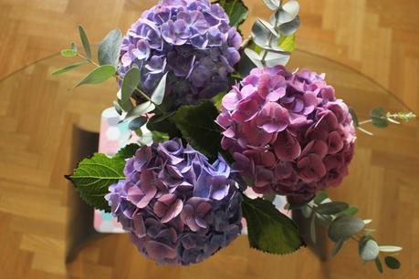 hortensias-violets