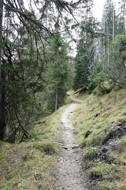 Belles promenades bavaroises: Krün - Fischbachalm - Soiernhaus, sur les traces du Roi Louis II de Bavière