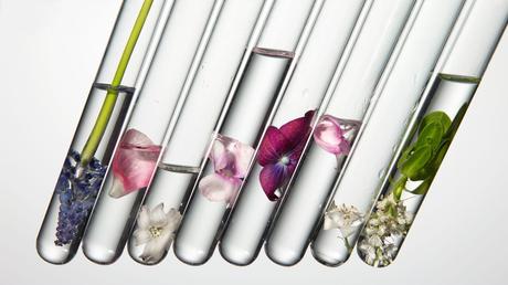 Maquillages bio et non testés sur les animaux