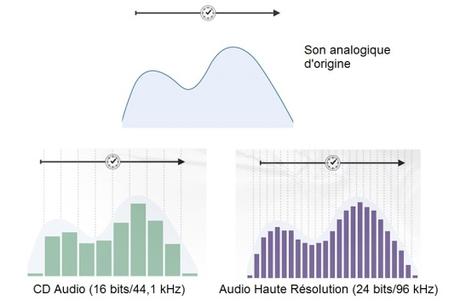 392f025b5ef0bb372cc3cdaaf31b7